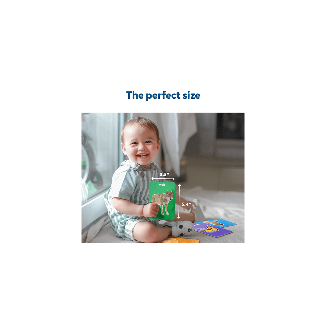 Skillmatics Toys Skillmatics Flash Cards for toddlers: First 100 Animals (ages 1-4)