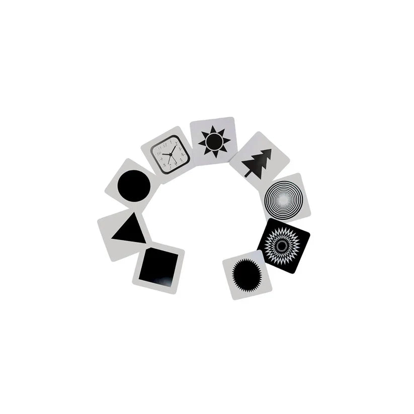 B4 Brain Newborn Kit ( Clutch Ball, Flash Card, Newborn Baby Book) For Kids