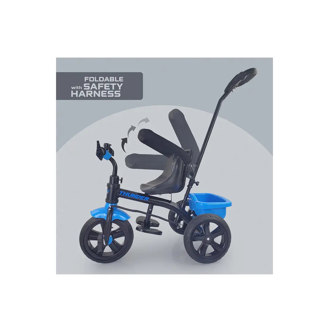 Kids Tricycle in India