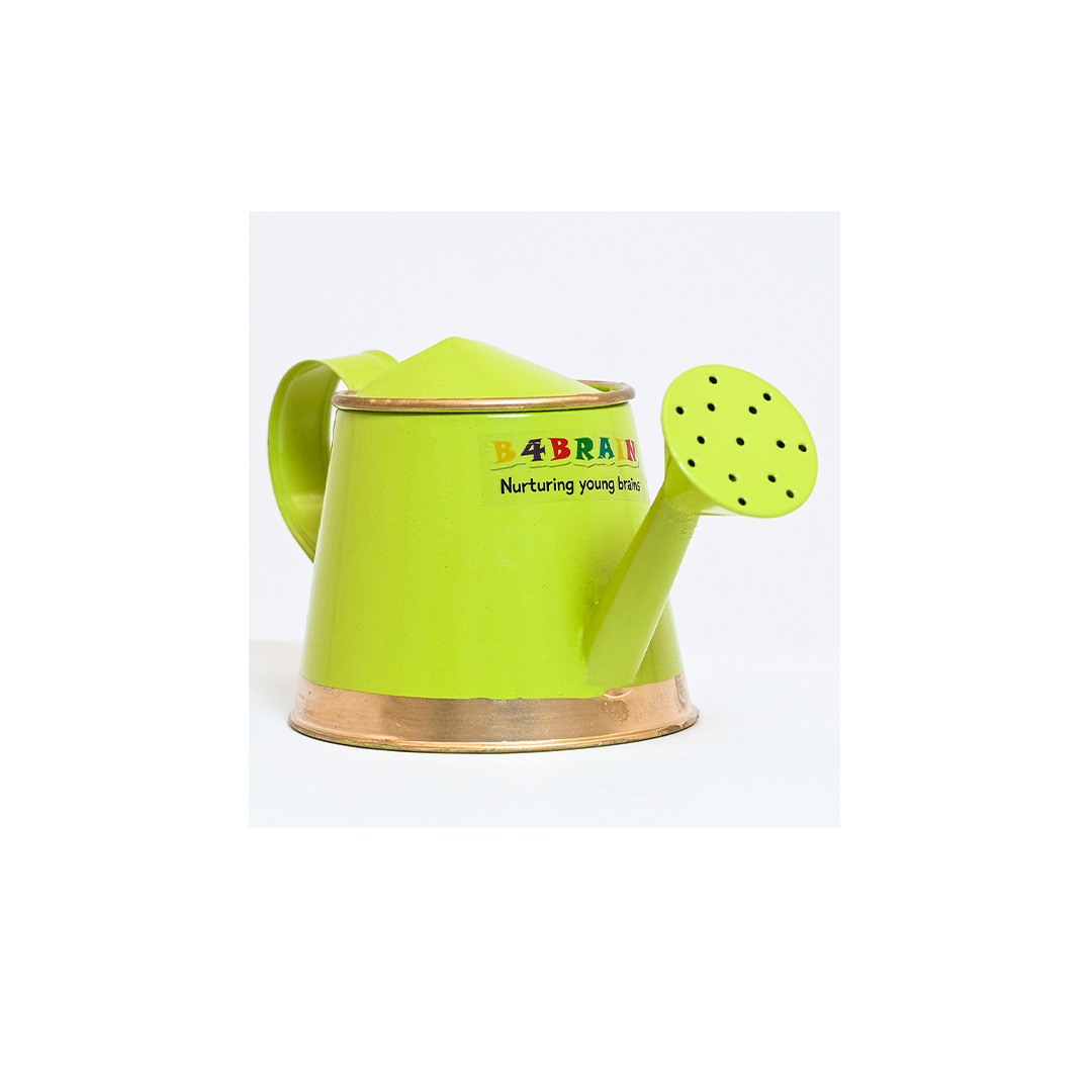 B4brain Toddler Garden set for kids (1 Year+)