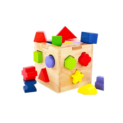 The Clever Clogs 15 Shapes Sorter Box (3 Year+) : Development Toys For Little Ones In India