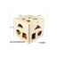 The Clever Clogs 15 Shapes Sorter Box (3 Year+) : Development Toys For Little Ones In India