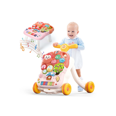 2 in 1 Baby Detachable Walker