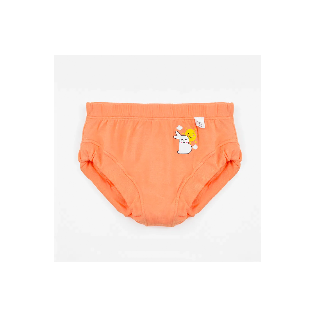 SuperBottom Baby Breif Underwear Pack of 4 (6Months-4Years)