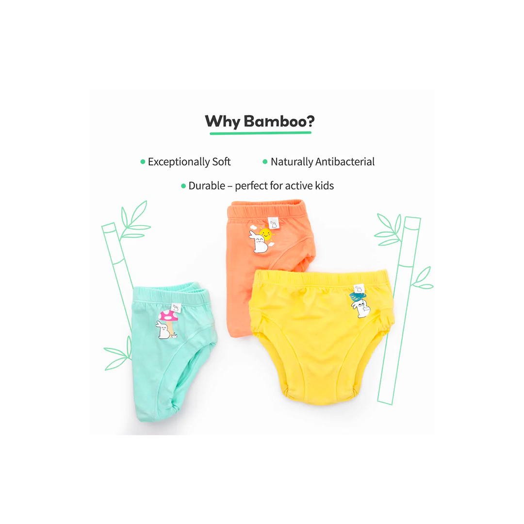 SuperBottom Baby Breif Underwear Pack of 4 (6Months-4Years)