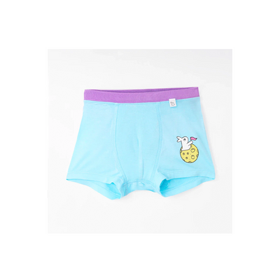 SuperBottom Boys Trunks - Set of 4 (4-8 Years)