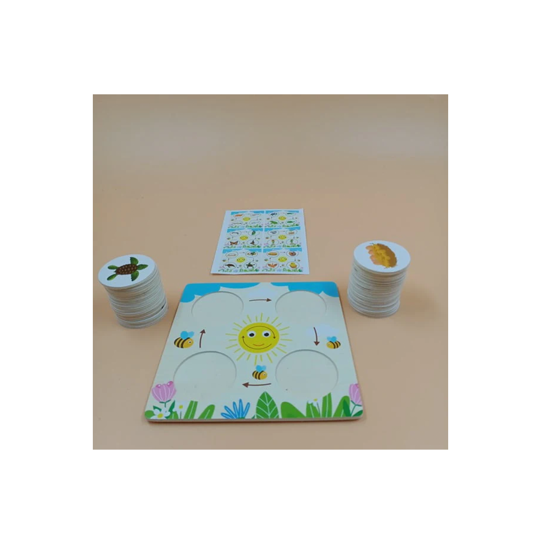 Extrokids Growth Cycle Jigsaw Puzzle (3 Years+): Developments Toys For Little Ones in India 