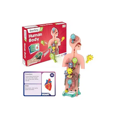 Smartivity Human Body | DIY STEM Construction Toy ( 6 Year+ ) : Developments Toys For Little Ones in India 