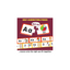 Alphabet and Number Match and Learn Jigsaw Puzzle