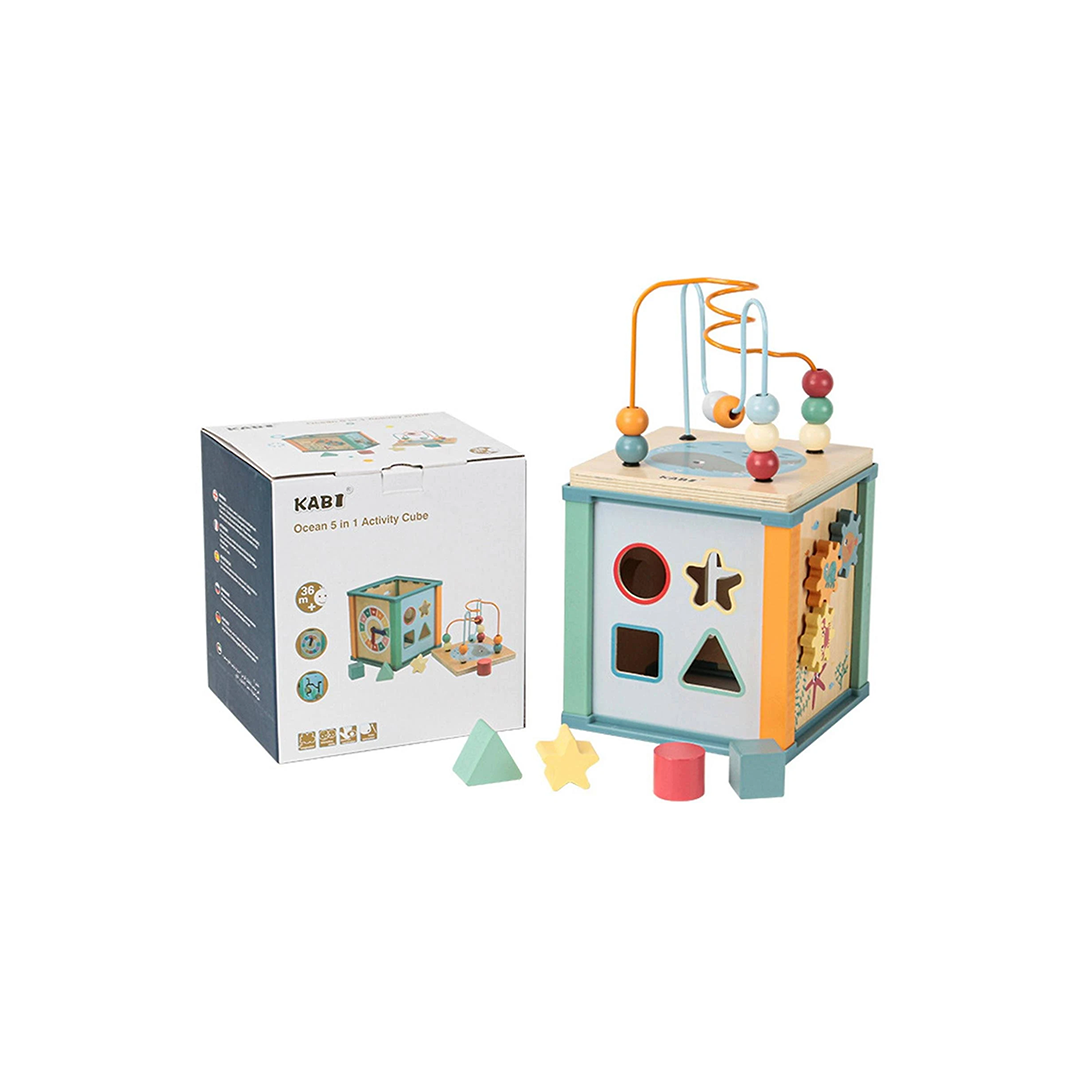 5 in 1 Activity Cube