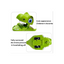 Baan Toys Press and Go Dinosaur Animal Vehicle Toy Baby and Toddlers (6 Months+) : Development Toys For Little Ones In India