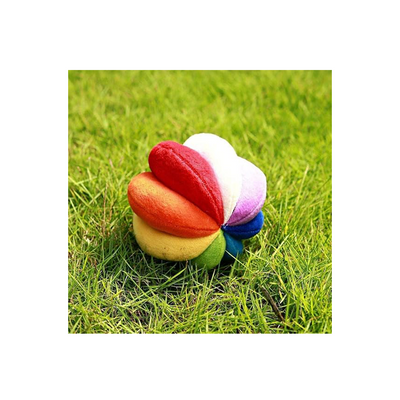 B4brain Rainbow Soft Ball - Multicolor (1 month+) : Developments Toys For Little Ones in India 