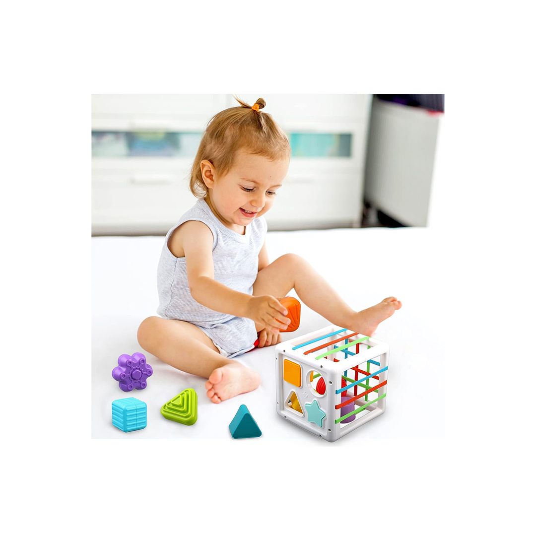  Sensory Shape Sorter