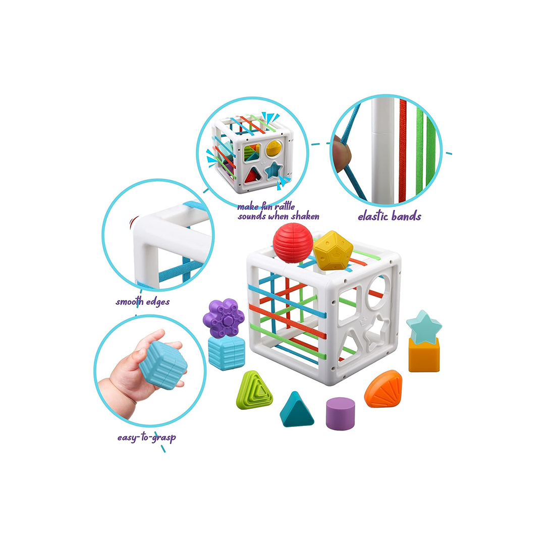  Sensory Shape Sorter