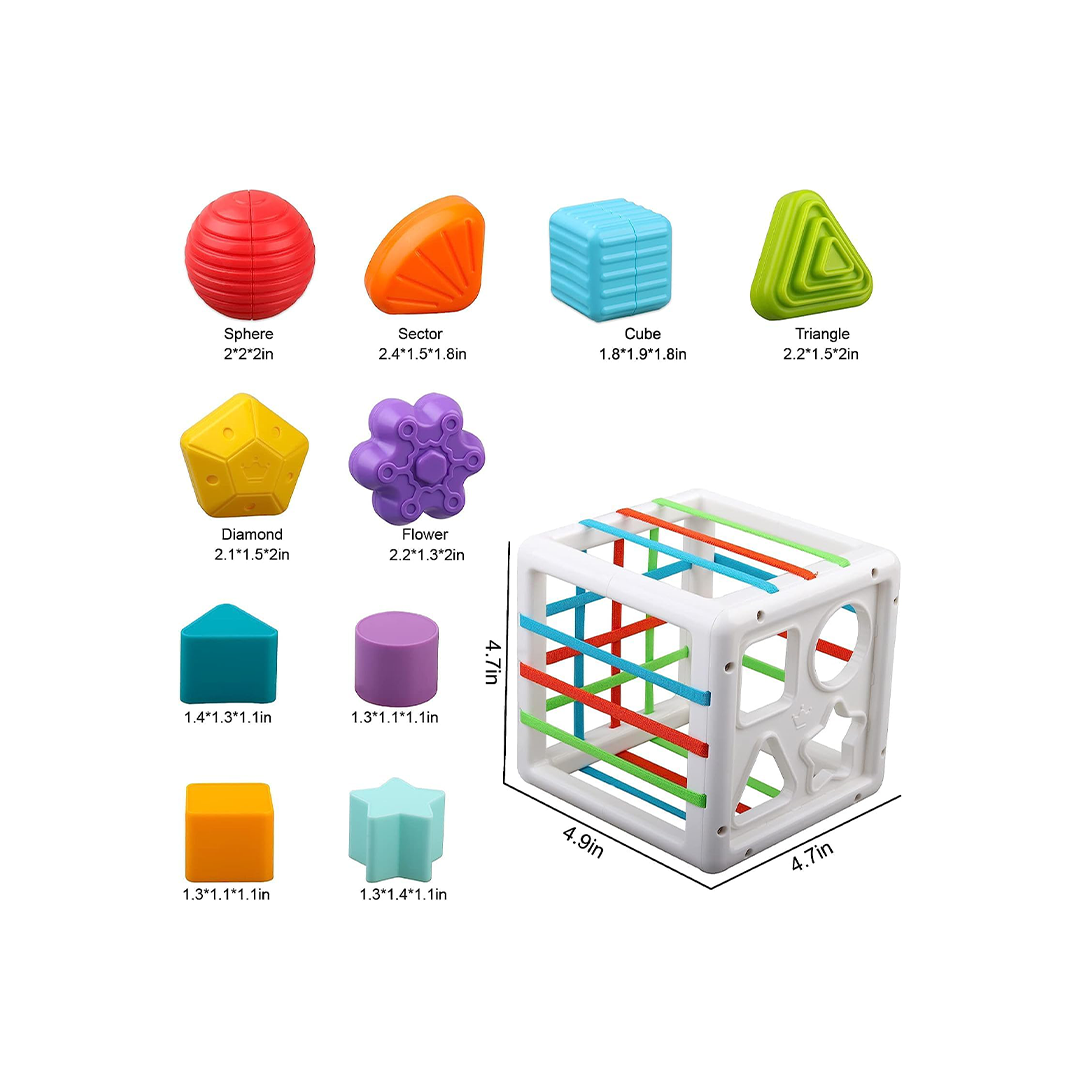  Sensory Shape Sorter