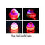 Baan Toys Spinning Top Toy with LED Spinner Flashing Lights and Music Spinning for Kids (2 Years+) : Development Toys For Little Ones In India