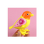 Baan Toys Wind-up Sparrow - Colorful Key Operated Jumping Wind up Interactive Walking Toys for Baby & Kids (6 Months+) : Development Toys For Little Ones In India