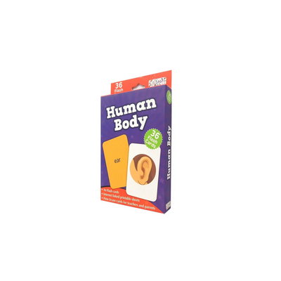 Pegasus Human Body - Flash Cards (4 Years+) : Development Toys For Little Ones In India